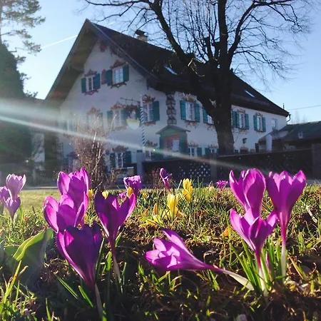 Landgasthof & Restaurant Dorfwirt Apartamento